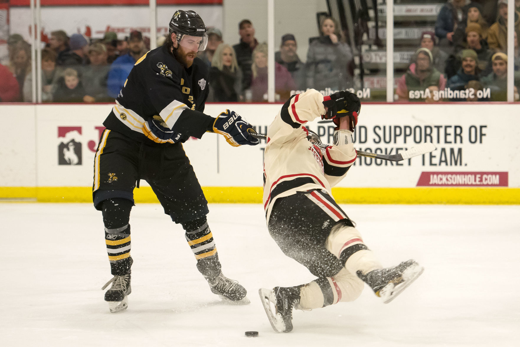 Moose hockey playoffs
